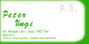 peter ungi business card